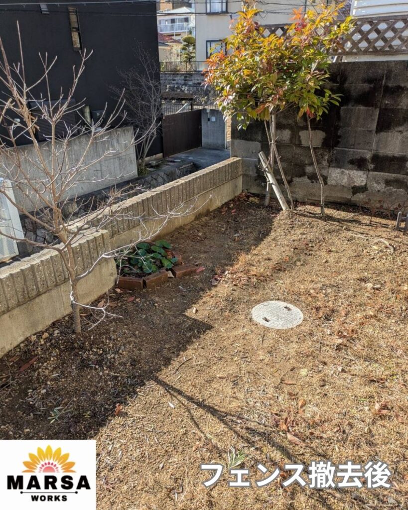木製フェンス撤去中