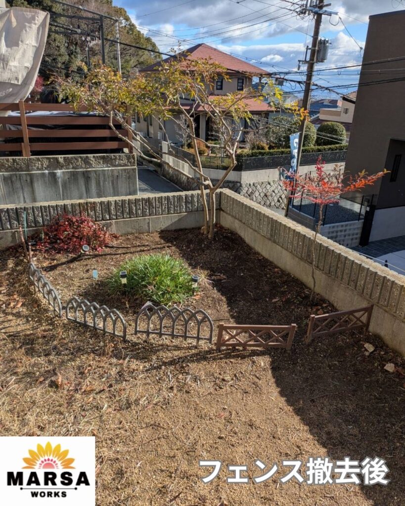 木製フェンス撤去中